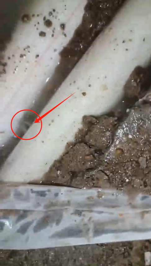 冒水点不一定是漏水点客户上门帮测漏